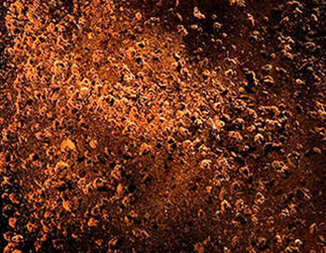 Antioxidant Combination