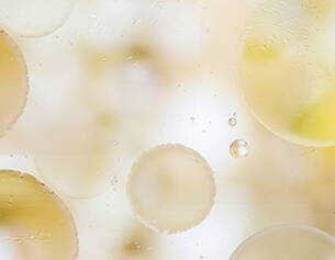 1% Kojic Acid