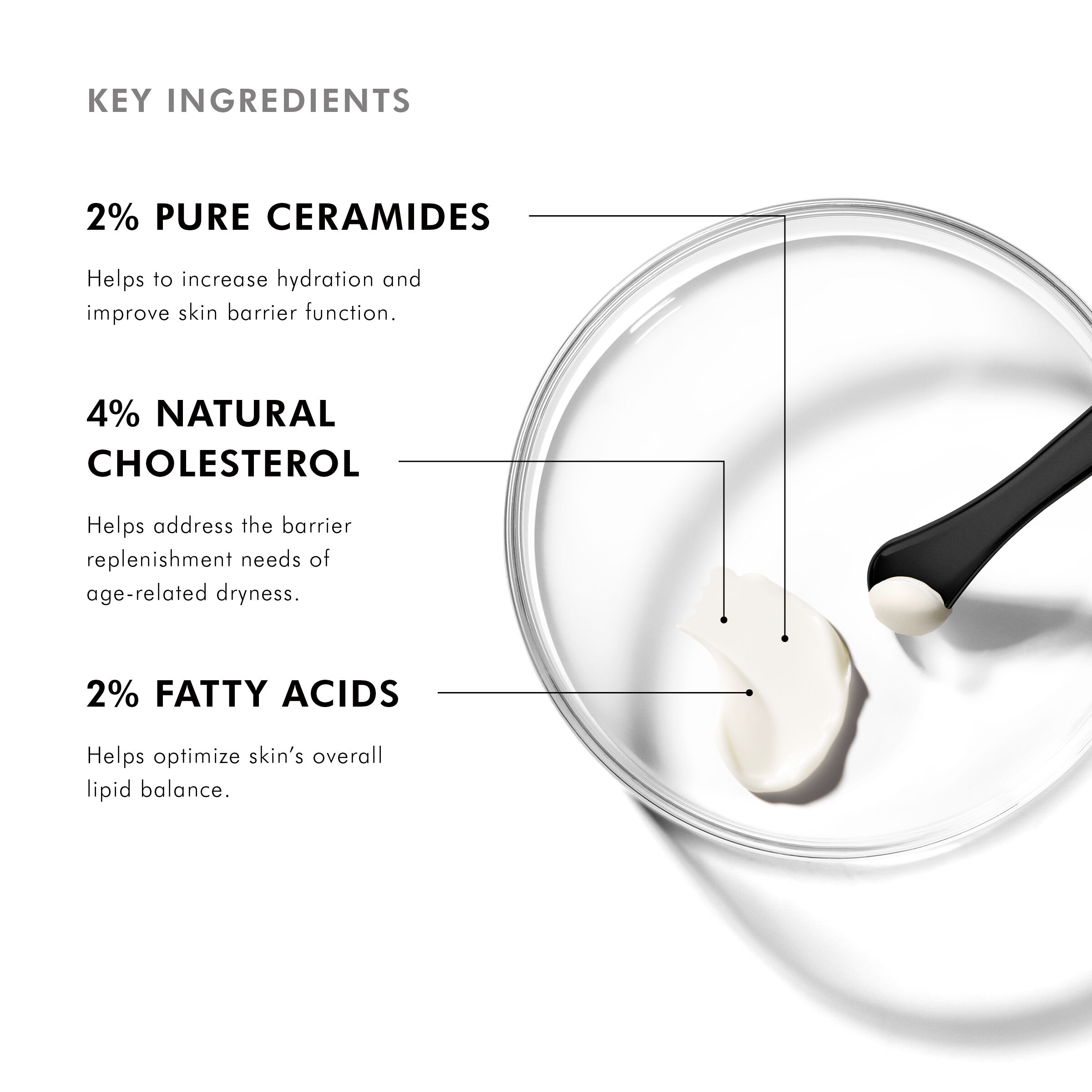 ثلاثية استعادة الدهون 2:4:2